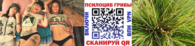 Псилоцибиновые грибы мухоморы Ростов